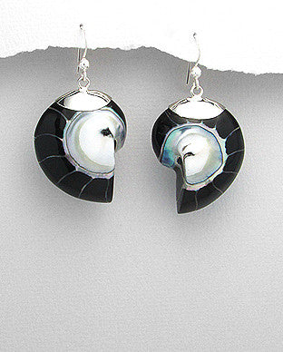 Sterling Silver Black Nautilus Sea Shell Earrings