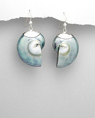 Sterling Silver Grey Nautilus Sea Shell Earrings